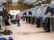 BP210325-65 - Ben Pauling Stable Visit